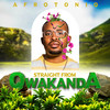 Long Distance (feat. Gugu & 2point1) - AfroToniQ&Gugu&2Point1