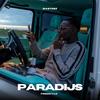 Paradijs Freestyle (Explicit) - Bastosz
