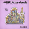 Jungle Police (Dr Parnassus Remix) - Stay Golden&Dr Parnassus
