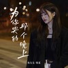 为你哭的那个晚上 (女生版) - 杨友友