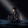 各自安好 - 海来阿木