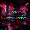 Indecent Orchestra - Ozer