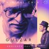 CHIN PAL CHIN (feat. GULZAR) - Abhishek Ray&Gulzar