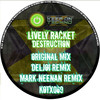 Destruction (Deljoi Remix) - Lively Racket&Deljoi
