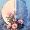 거울 보듯 (Mirror) - veanii