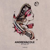 Mystic Jungle (Original Mix) - Andrew&Cole