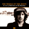 A Girl Called Johnny (Live) - The Waterboys