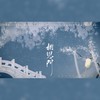 相思门 (其他) - Franky北城叔