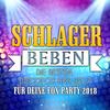 Ich werde lächeln wenn du gehst - DJ Schlager