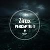 Perception - Zirax