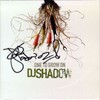 Dark Days (main theme) - DJ Shadow