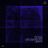 Gravity (Original Mix) - Peter Groskreutz