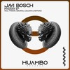 Mystery (Radio Edit) - Javi Bosch