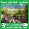 Ein Lied von den Harzer Bergen - Die fröhlichen Harzgebirgler&Die Jodelgruppe Harzerland