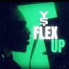 Flex Up (Explicit) - YS wave