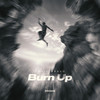 Burn Up - Denis Bravo