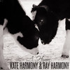 A Hymn (World Vegan Day Anthem) - Ray Harmony&Kate Harmony