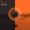 What You Like - Rashid Ajami