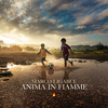 Anima in fiamme - Marco Ligabue