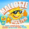 Voll wie ein Aquarium - Bullhouse Band
