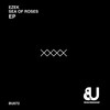 Sea Of Roses - Ezek
