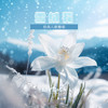 雪绒花 - 土豆王国小乐队