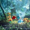 夜晚虫鸣和蛙叫|钢琴曲纯音乐舒缓睡眠 放松解压 - 尹慧心