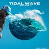 TIDAL WAVE - Silvz