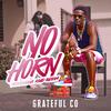 No Horn (feat. Grateful Co) - Green Shanti Productions&Grateful Co
