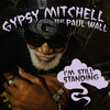 I'm Still Standing (ChopNotSlop Remix) - Gypsy Mitchell&Paul Wall&DJ Lil Steve&The Chopstars