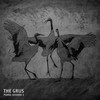 Like a Bird - The Drums