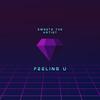 Feeling U (Explicit) - Sweetz The Artist