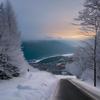 Winter where have you gone - Tony Phat
