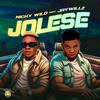 Jolese (feat. Jaywillz) - Nicky wild&Jaywillz