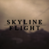 Think - Skyline