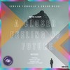 A Closer Feeling of Future (Lucciano Vittorio Remix) - Serkan Turkoglu&Omaar Musal&Lucciano Vittorio