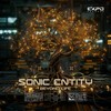 Beyond Life (Original Mix) - Sonic Entity