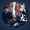 藏龙 (原唱:不才) - 解子稔&远黛如眉