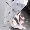 性格是我缺陷 - 熊雨珂