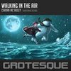 Walking In The Air (Original Mix) - Ciaran McAuley