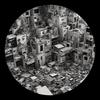 Chaos Within - Syndaco