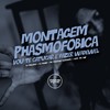 Montagem Phasmofobica Vou Te Catucar e Fazer Wadewel (Explicit) - DJ MALADIA&DJ Diniz&Mc Pequeno Diamante&MC GW