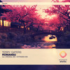 Romansu - Terry Gaters