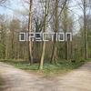 Direction - Flytrap