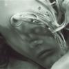 Leaf From The Mother Tree - FLUCC&Fabian Collignon