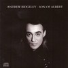 Red Dress - Andrew Ridgeley