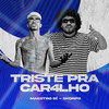 Triste pra Car4Lho (Explicit) - Maestro Bê&Skorps
