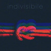 INDIVISIBILE - Andrea Torre