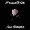 Precious To Me - Sam Gallagher