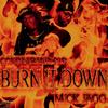 Burn It Down (feat. Mick Jagg) (Explicit) - Contraband513&Mick Jagg